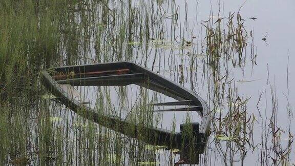 水下小木船被遗弃的船在河上的芦苇