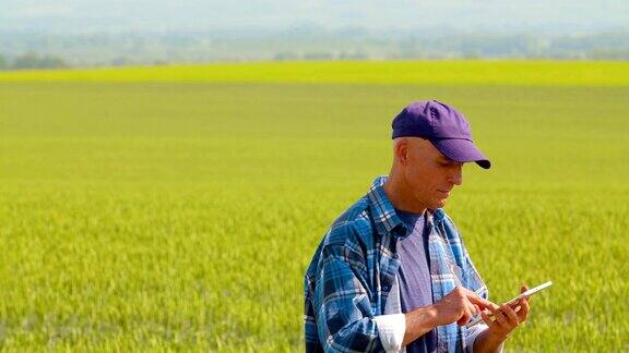 资深田间农民在剪贴板上写笔记转基因小麦研究