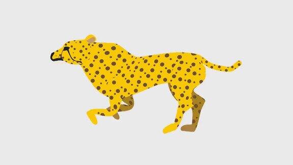 奔跑的猎豹动画插图(4K分辨率背景透明度)