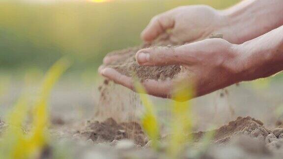 农民的手抓着土壤农业的背景