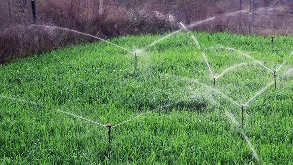 绿地喷射灌溉