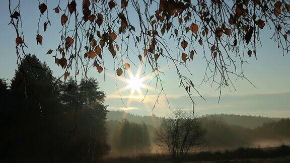 有雾的早晨和秋天的日出