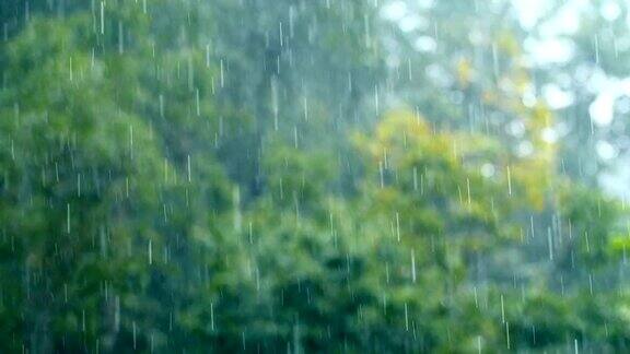 下雨天雨水特写