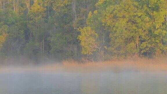 多莉拍摄的雾和雾在湖面上缓慢移动