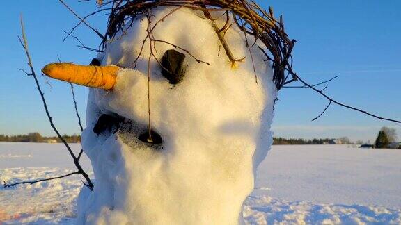 一个头上有窝的雪人