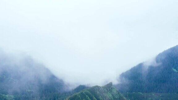 时间的薄雾吹过山与松树林在山上