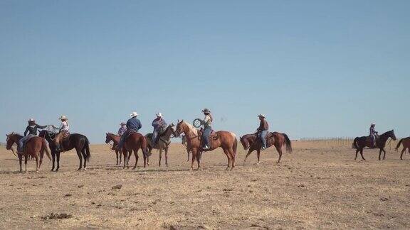 牛仔们赶着马赶着马