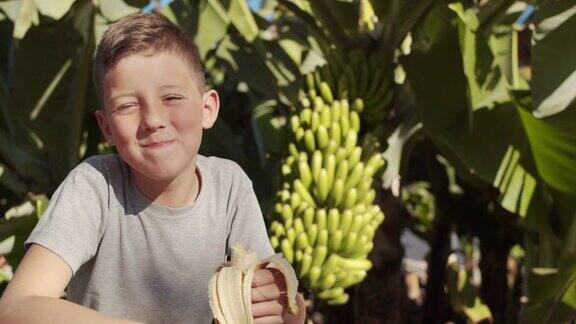 可爱的宝宝在香蕉农场里吃香蕉微笑着种植香蕉