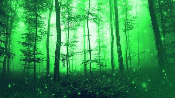 绿色的雾森林童话与纤光运动