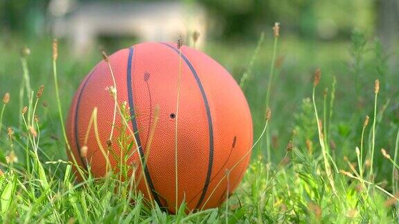草地上的篮球4k慢镜头60fps