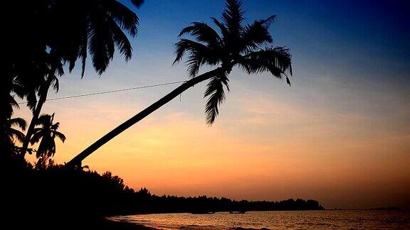 沙滩上的椰子树和日落