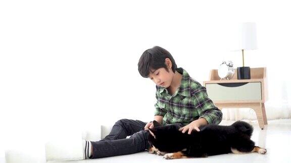 柴犬笑了这个男孩正在训练他的狗听命令一个男孩在卧室里和一只日本柴犬玩耍