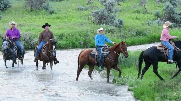 一群美国牛仔骑马穿过美国犹他州一条河的视频