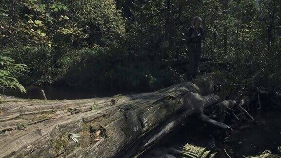 游客在森林河拍摄风景木桥倒树一名白人女性拍摄了漂亮的魔术女孩用相机拍照
