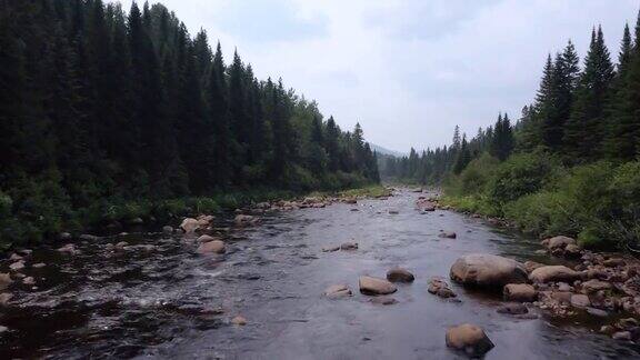 鸟瞰图的北方自然森林和河流在夏天魁北克加拿大