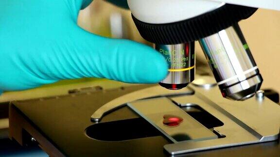 血液专家使用显微镜近距离观察