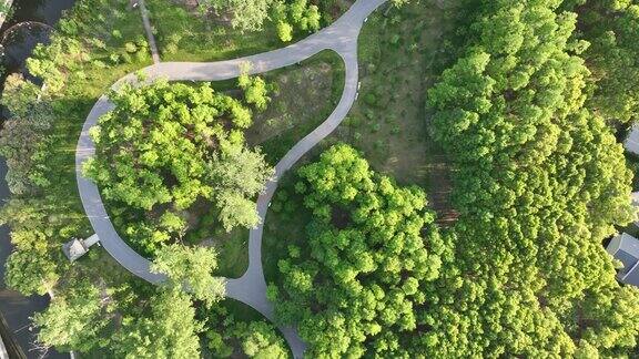 公园里小径和树木的无人机鸟瞰图