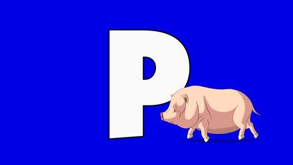 字母P和猪(前景)