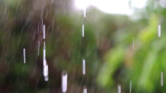 雨下降模糊的背景