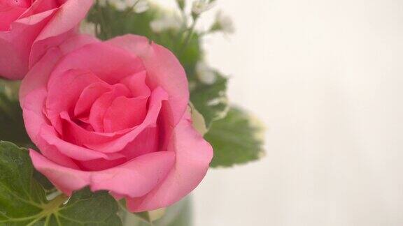 白色的桌子上有粉红色的玫瑰