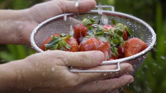 慢动作洗涤草莓
