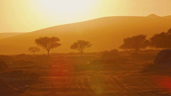 日落时宁静的金色沙漠景观纳米比亚非洲