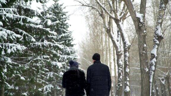 在雪天散步的夫妇