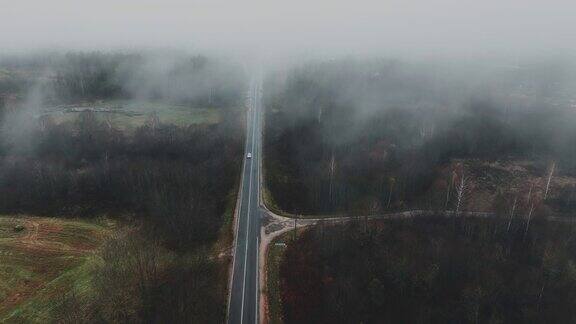 空旷的公路在神秘的迷雾中穿过森林秋日清晨雾蒙蒙的马路