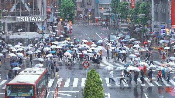 东京涉谷十字路口的雨天