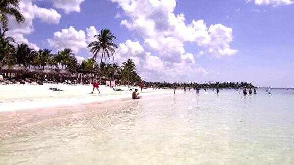 加勒比海滩椰树天堂假日背景视频4k