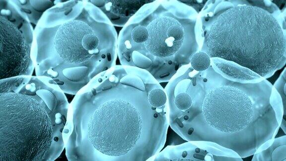 膜细胞结构