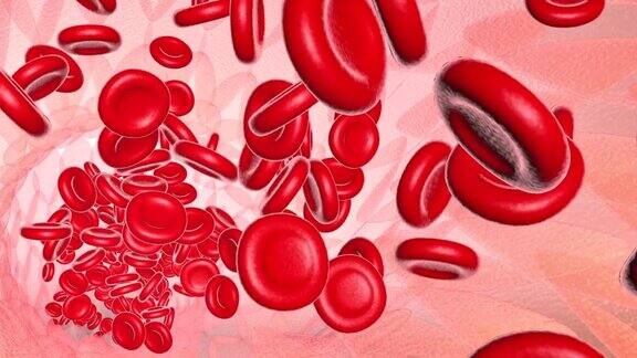 血管内红细胞流动3D渲染