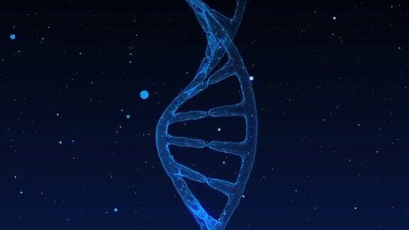 DNA分子和分析4K