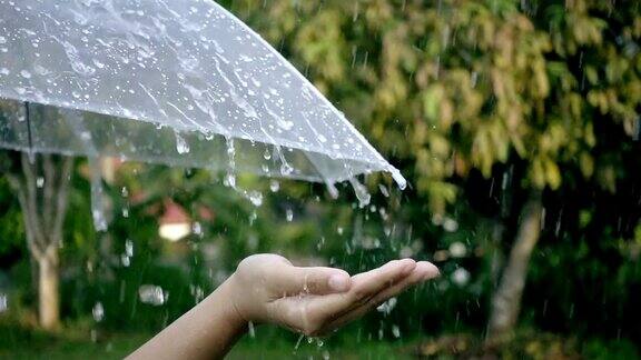特写的女士的手触摸雨滴与伞