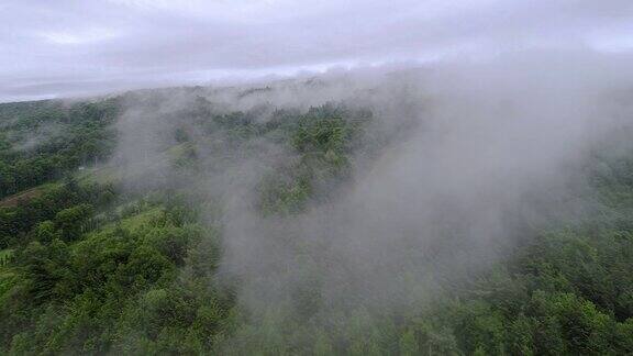 美国宾夕法尼亚州卡本县阿巴拉契亚波科诺斯山上空的低云