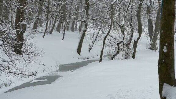 结冰的小河上下雪