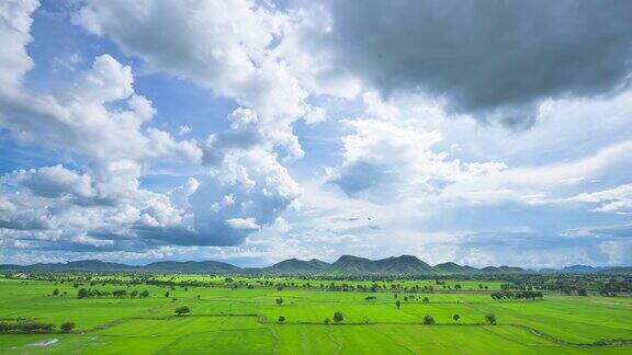 4K时间间隔:稻田和山地景观
