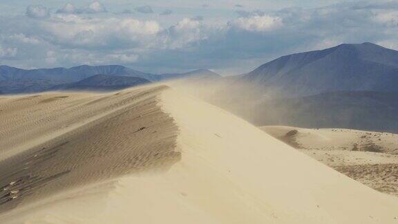 强风在沙丘上缓慢地吹着金色的沙子