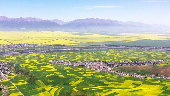 青藏高原农田的美景