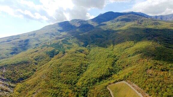 AERIAL:美丽的山川和绿色森林景观