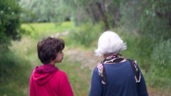 老奶奶带孙子在大自然中徒步旅行的4K视频