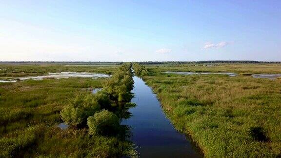 多瑙河三角洲湿地