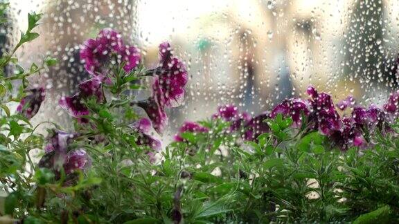 夏日窗外的雨café雨点落在窗玻璃上模糊了自然的浅紫色紫外光花的半色调美丽的散景在潮湿的城市窗户后面抽象的剪影人们走在伞下概念生活方式现代城市