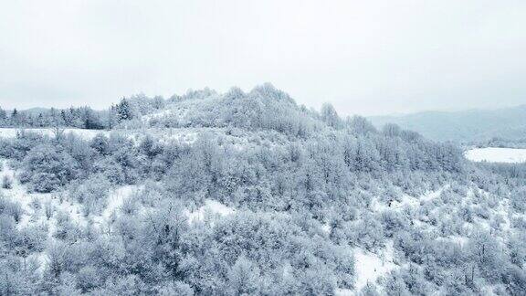 冬天的天线在浓雾覆盖的雪山上飞行