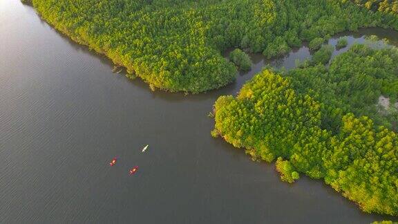 日落场景鸟瞰组游客旅行者或研究人员划桨划艇在淡水河湖发现和探索植物园热带地区的自然攀牙省泰国