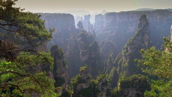 阿凡达山的阳光视图镜头在中国张家界国家森林公园(也被称为阿凡达浮山)的视角中移动