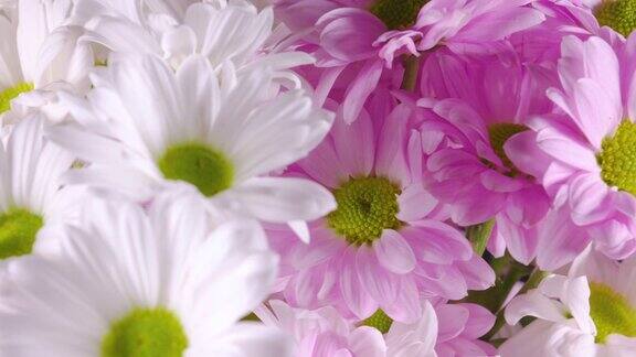 旋转的白色和粉红色的花束