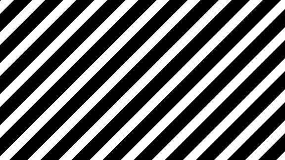 黑白斑马条纹在无缝循环移动抽象背景和壁纸4k视频