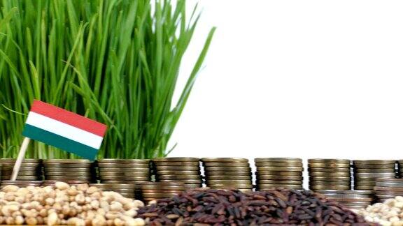 匈牙利国旗飘扬着成堆的钱币和小麦