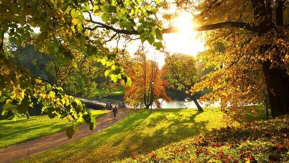 风景公园在初秋的清晨